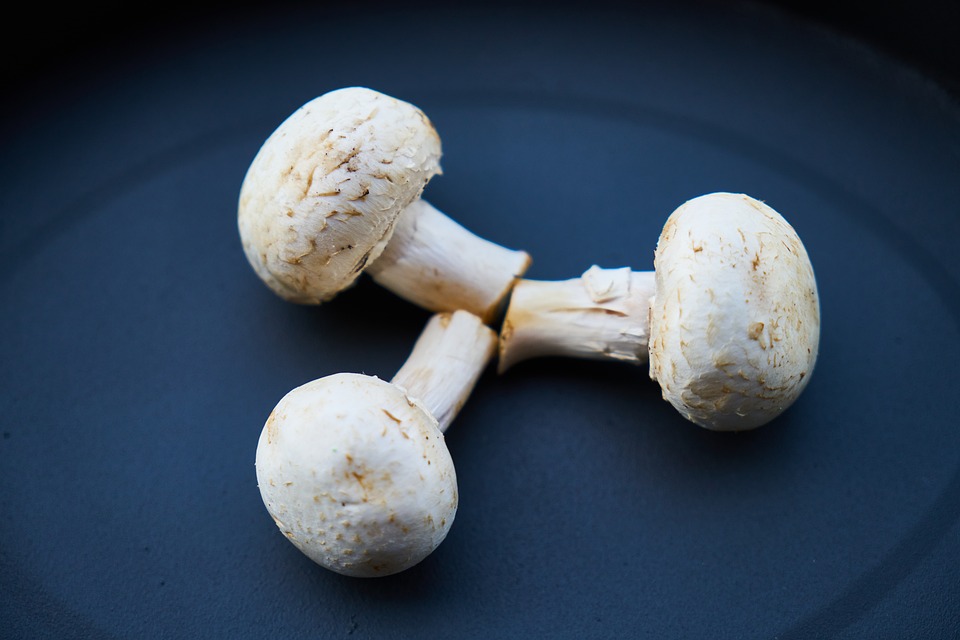 Rețetă Ciuperci cu legume - dieta-daneza.ro